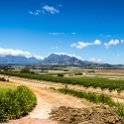 ZAF WC CW Paarl 2016NOV17 SpiceRoute 009 : 2016, 2016 - African Adventures, Africa, November, South Africa, Southern, Western Cape, Paarl, Cape Winelands, Spice Route